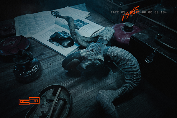 VISAGE - Image 3