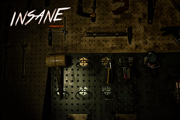 INSANE - Image 3